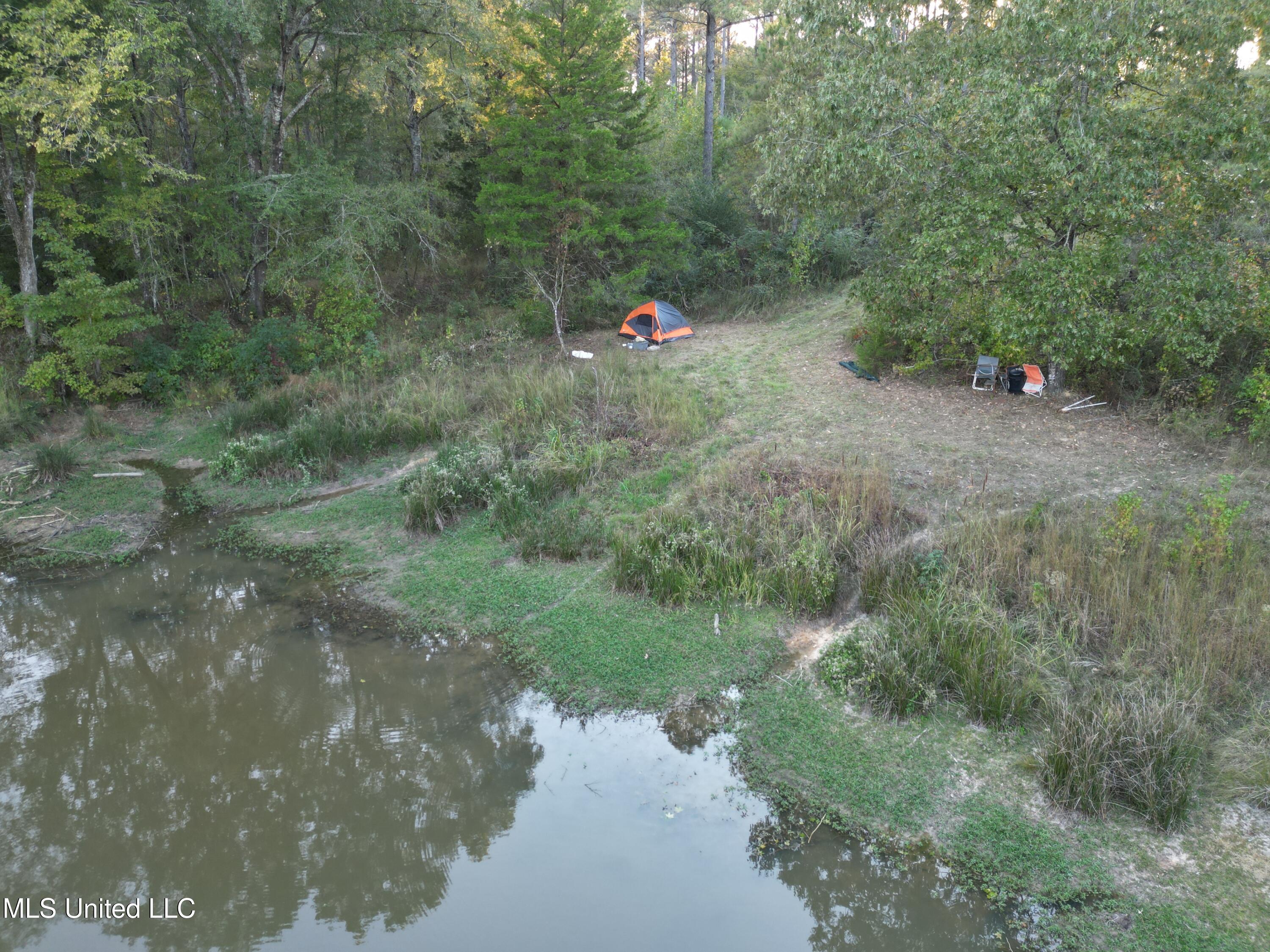 0 Simpson Road Pickens, MS 39146 - Photo 5 of 42 dji_fly_20251013_175548_34_1760402915321
