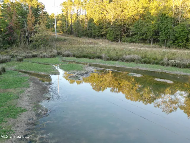 $1,150,000 | 0 Simpson Road, Pickens, MS 39146