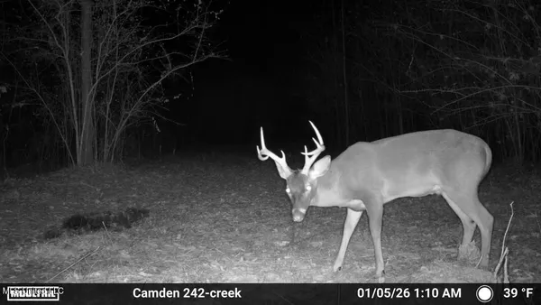 $931,700 | 0 Simpson Road, Pickens, MS 39146