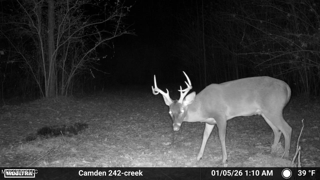 0 Simpson Road Pickens, MS 39146 - Photo 7 of 42 IMG_3848