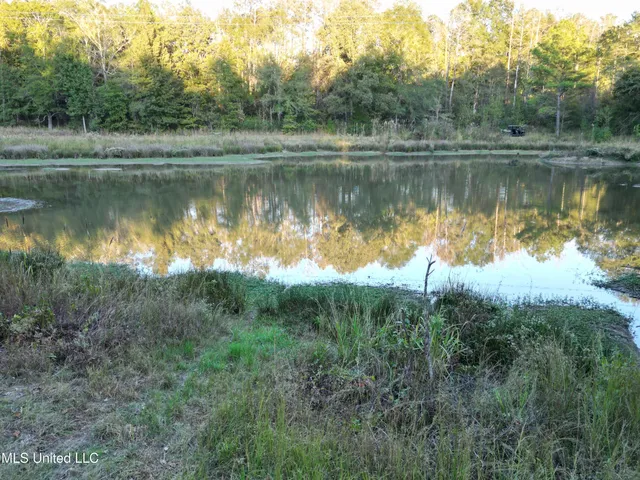 $1,150,000 | 0 Simpson Road, Pickens, MS 39146