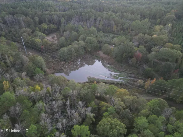 $931,700 | 0 Simpson Road, Pickens, MS 39146