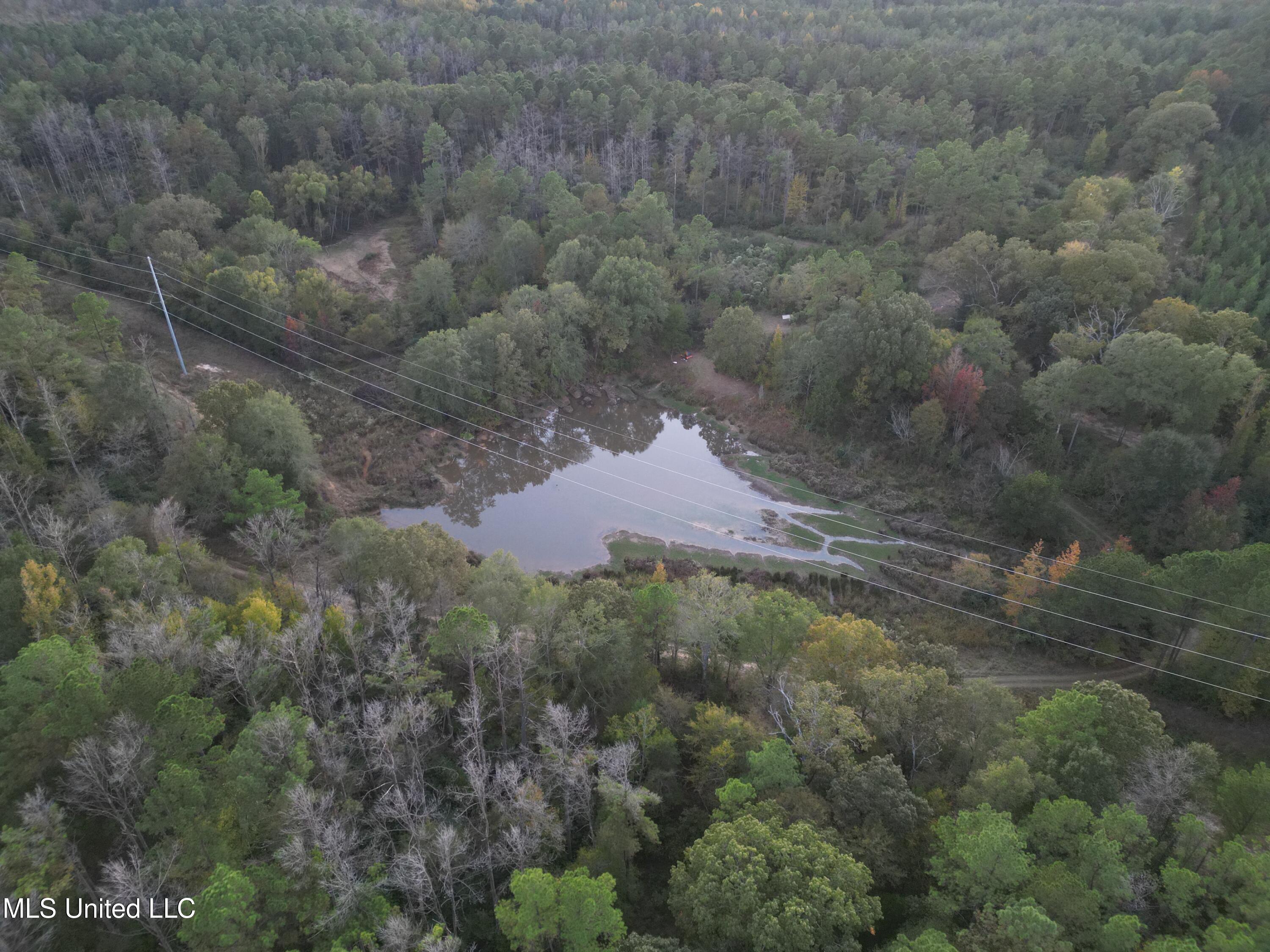 0 Simpson Road Pickens, MS 39146 - Photo 8 of 42 dji_fly_20251016_183340_32_1760665570610