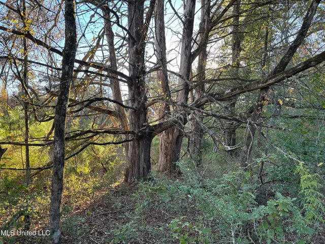 $1,150,000 | 0 Simpson Road, Pickens, MS 39146