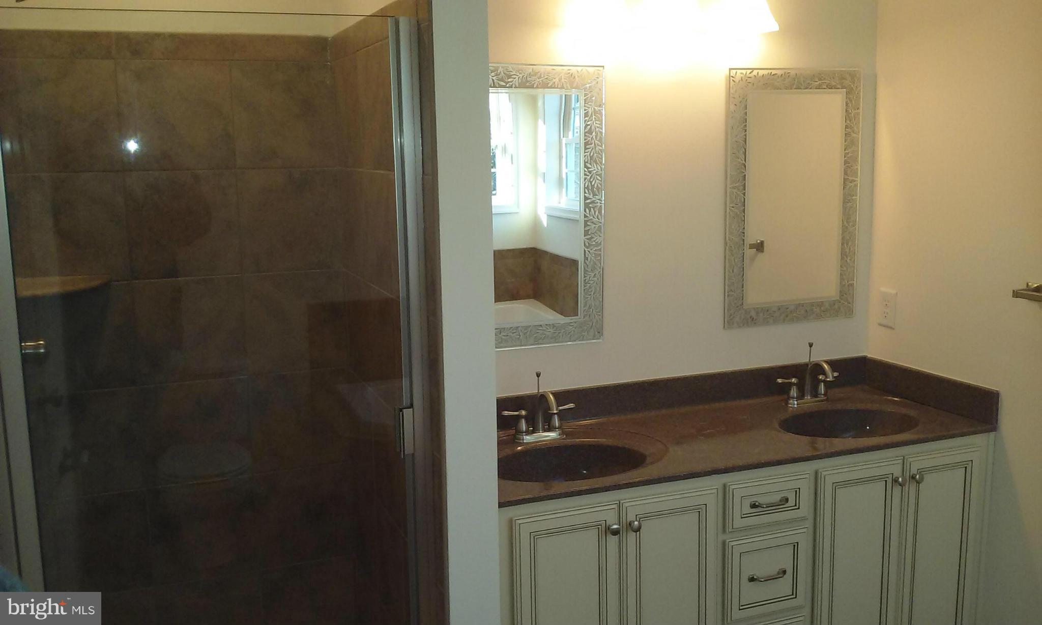 1705 White Hall Road White Hall, MD 21161 - Photo 7 of 20 Bath (Master)