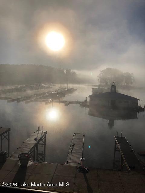 445 Marina Point Road, Unit A105 Dadeville, AL 36853 - Photo 27 of 35 HP Fog (2)