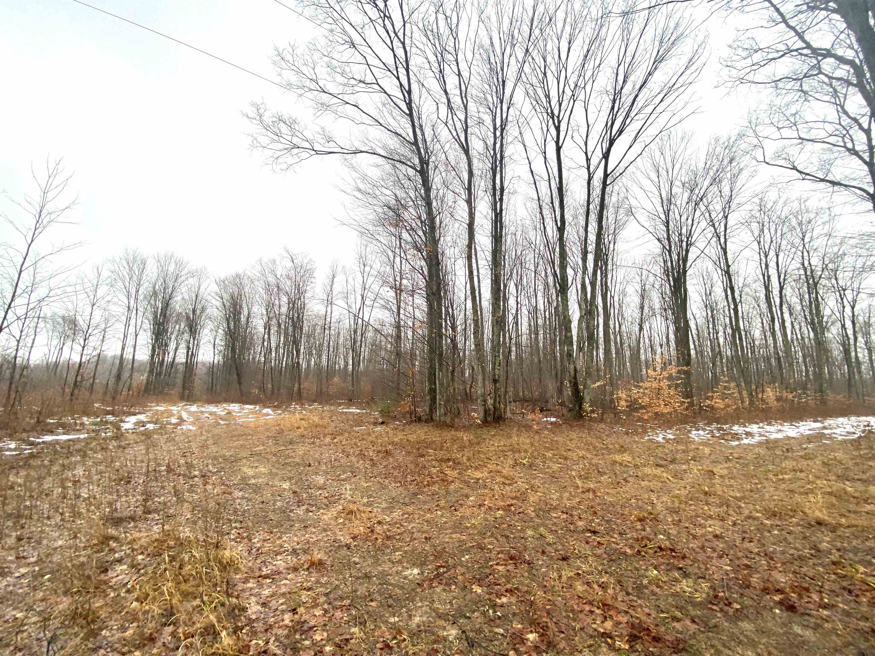 7667 King Road Benzonia, MI 49616 - Photo 9 of 9