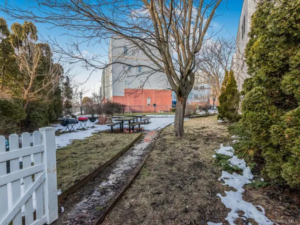 a view of a yard with large trees