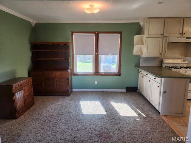 1571 St Luke Road Conway, MO 65632 - Photo 11 of 18