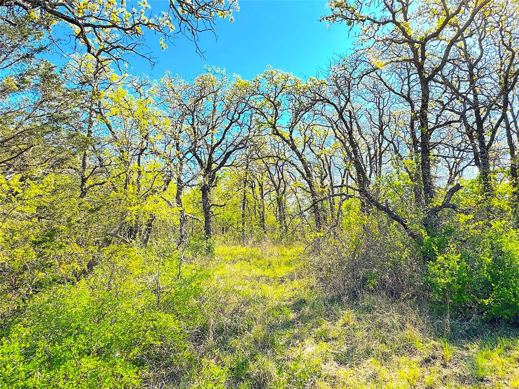 7885 Old Agnes Road Poolville, TX 76487 - Photo 1 of 1