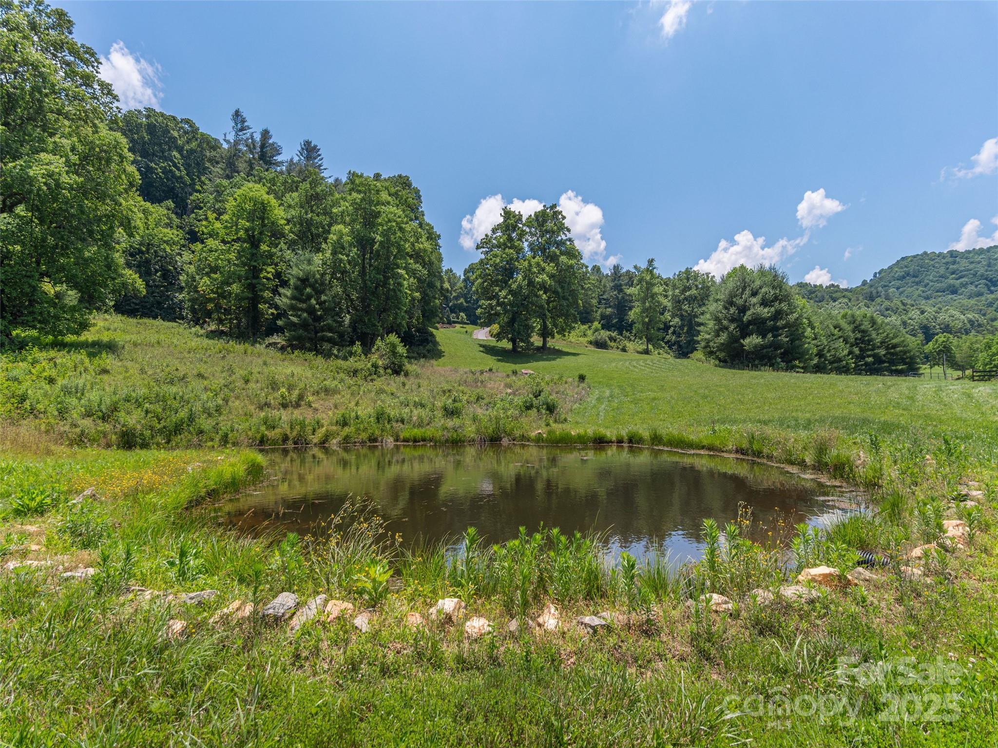 477 Jenkins Road Waynesville, NC 28785 - Photo 43 of 48
