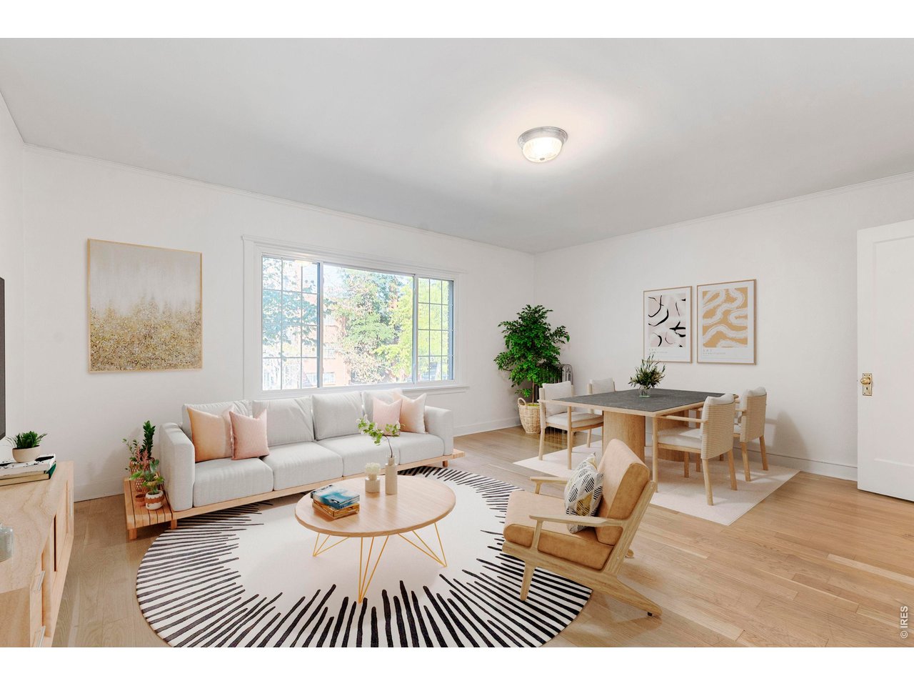 a living room with furniture a rug and a window