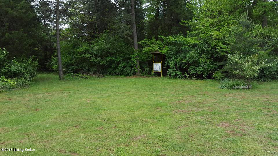 1072 Greenbriar Road Mount Washington, KY 40047 - Photo 32 of 34 back yard target