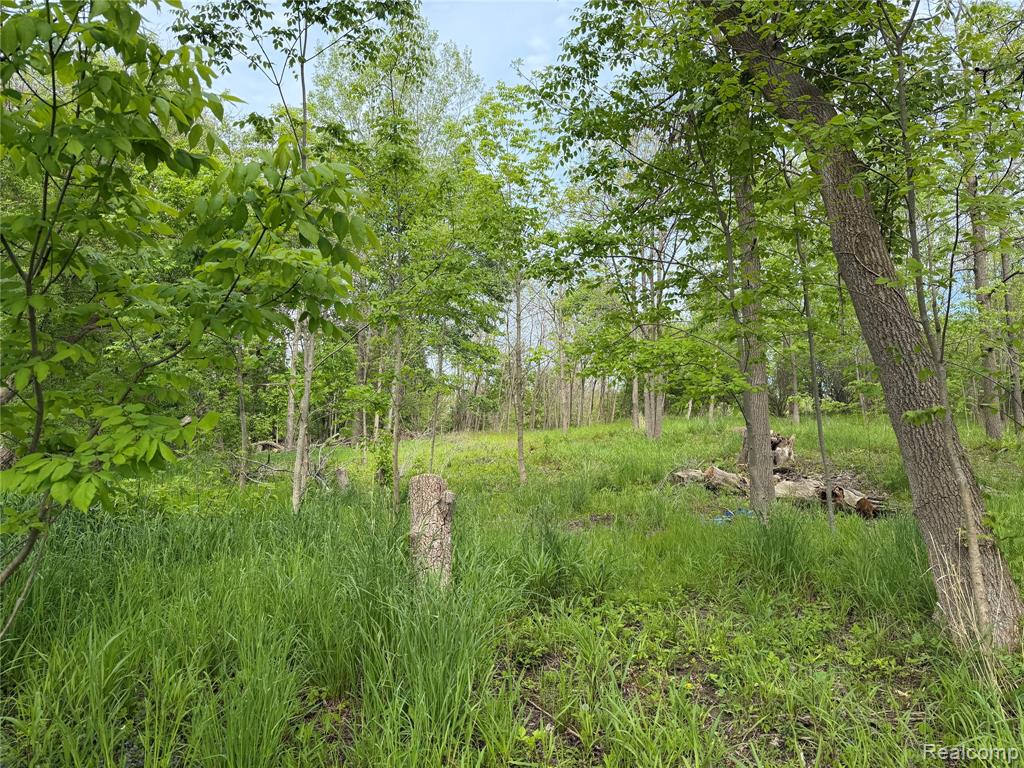 9200 Perry Road Atlas, MI 48411 - Photo 2 of 14