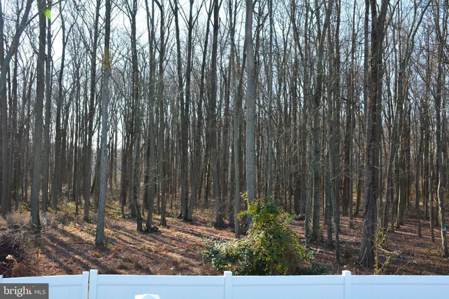 a view of a backyard with pathway