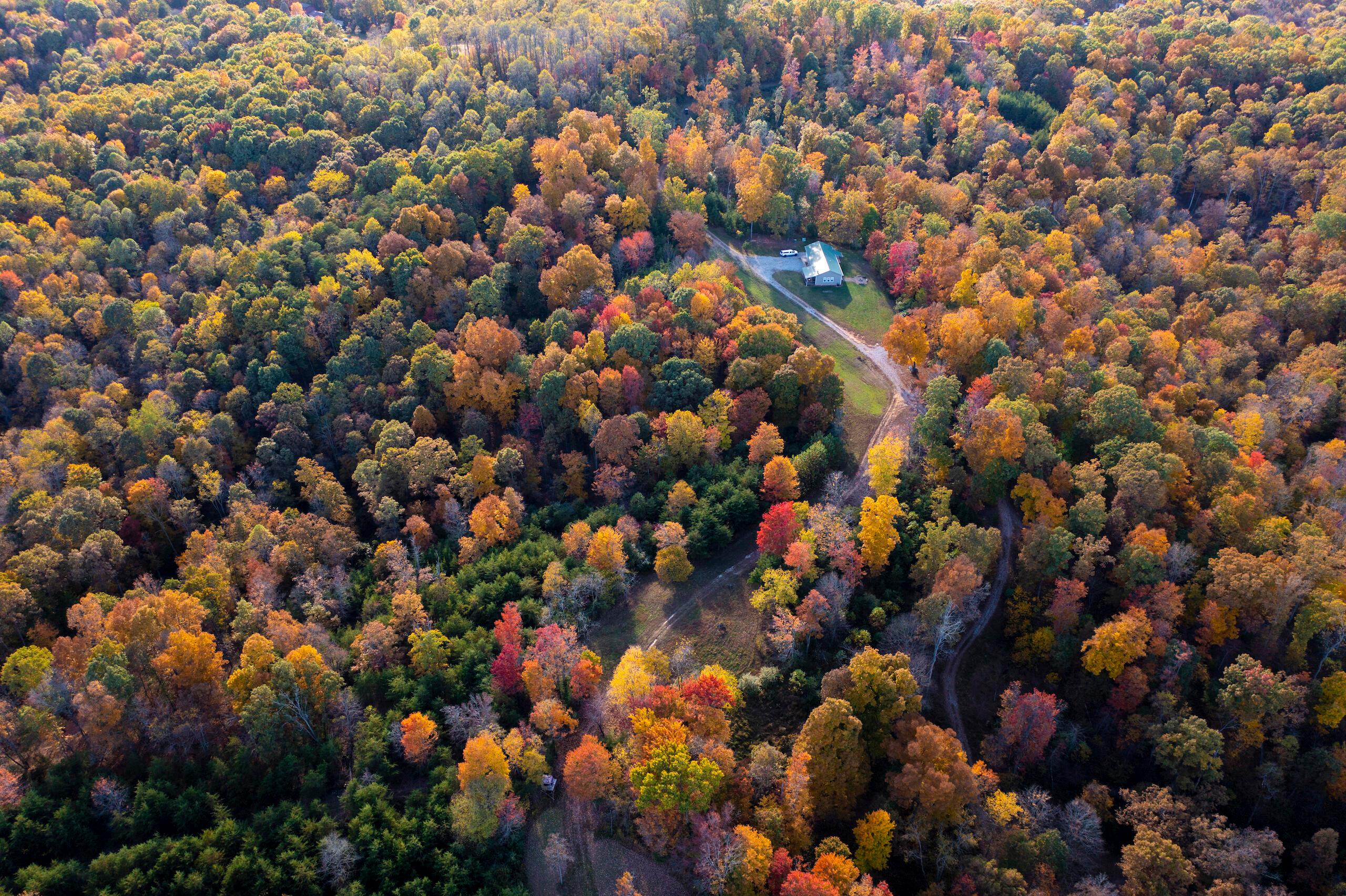 1426 Sealy Ridge Road Vincent, OH 45784 - Photo 15 of 52 DJI_0791-73
