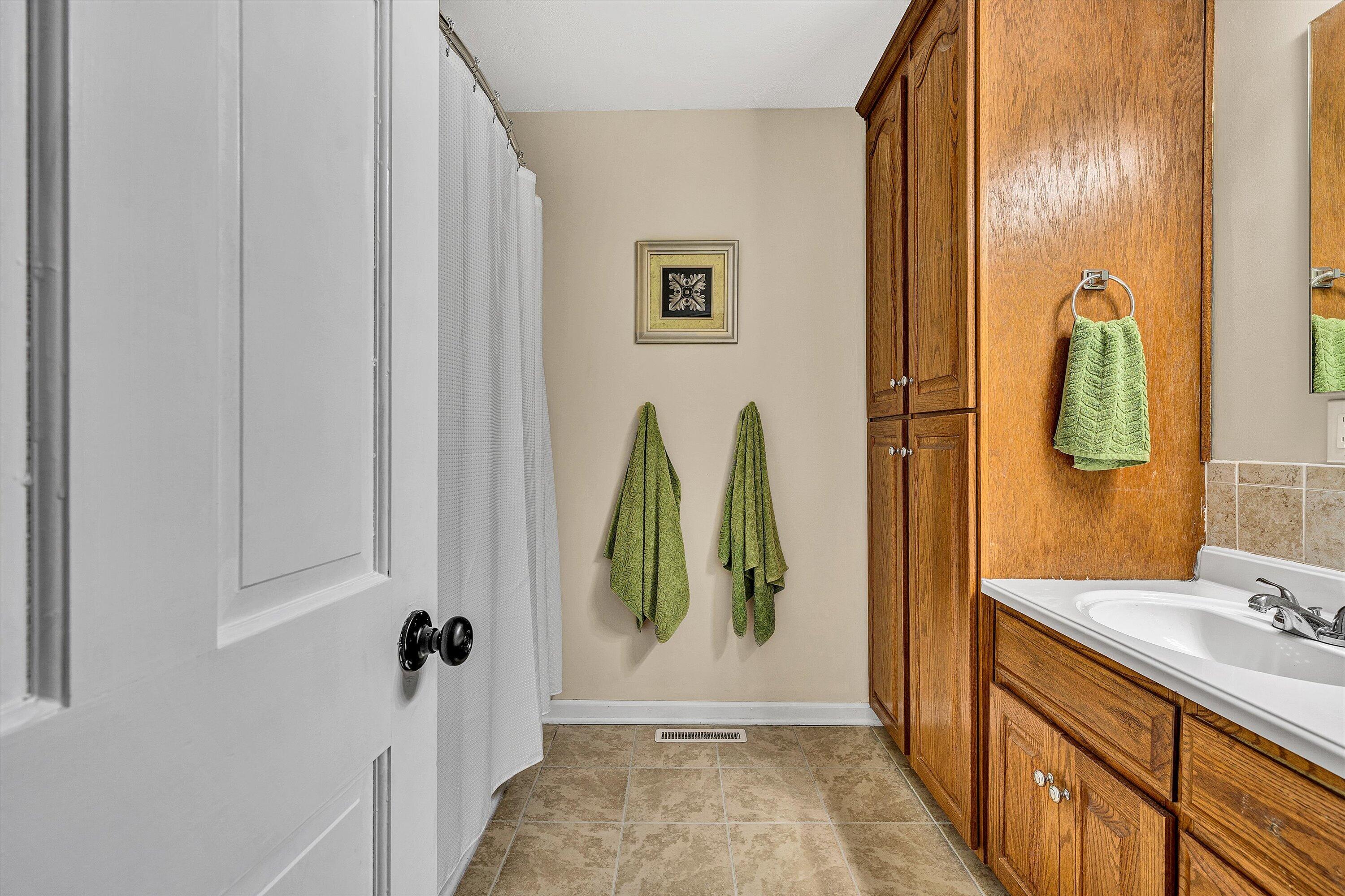 1488 Henry Road Ferrum, VA 24088 - Photo 32 of 55 Full Bath - Hall