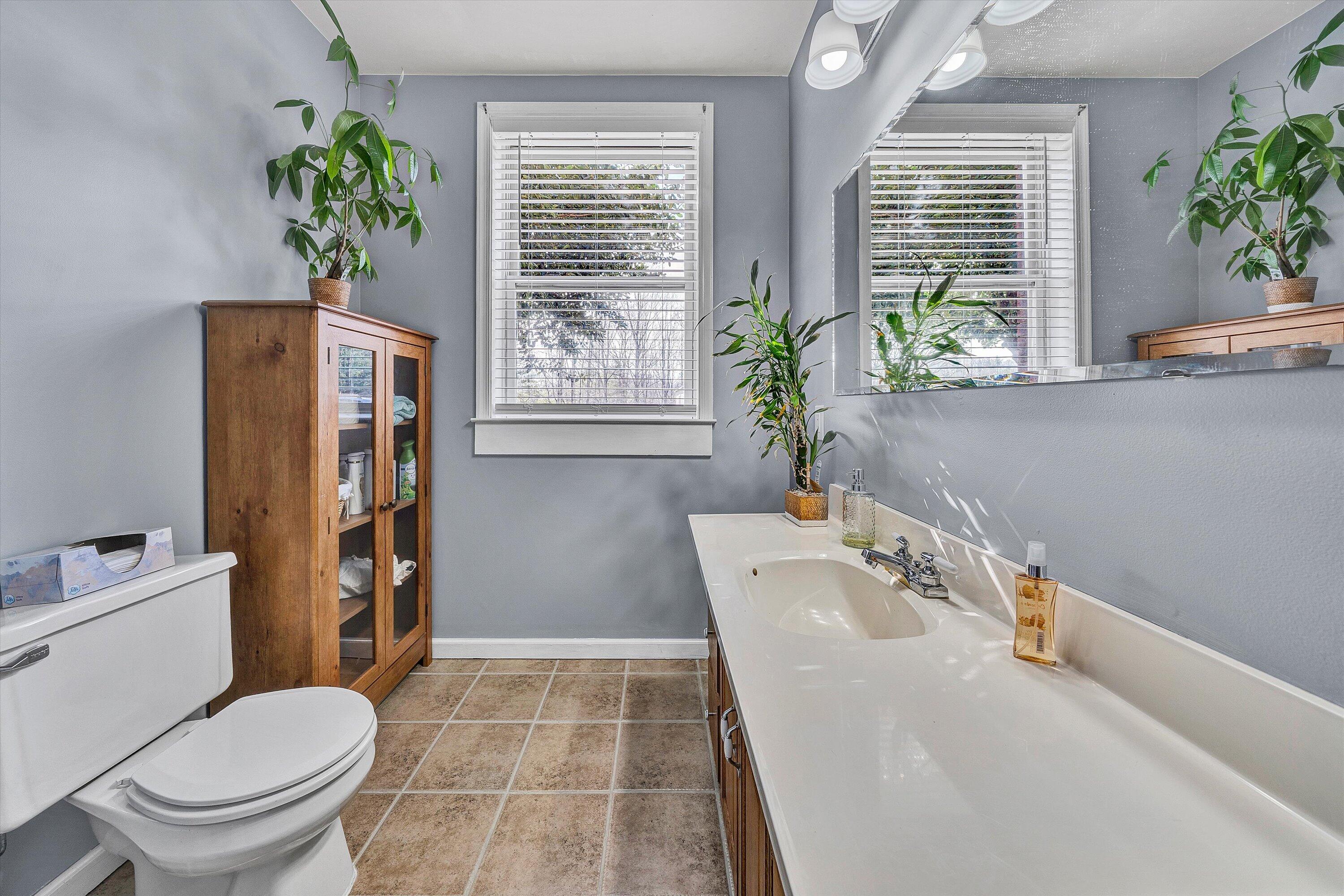 1488 Henry Road Ferrum, VA 24088 - Photo 39 of 55 Full Bath: Lower