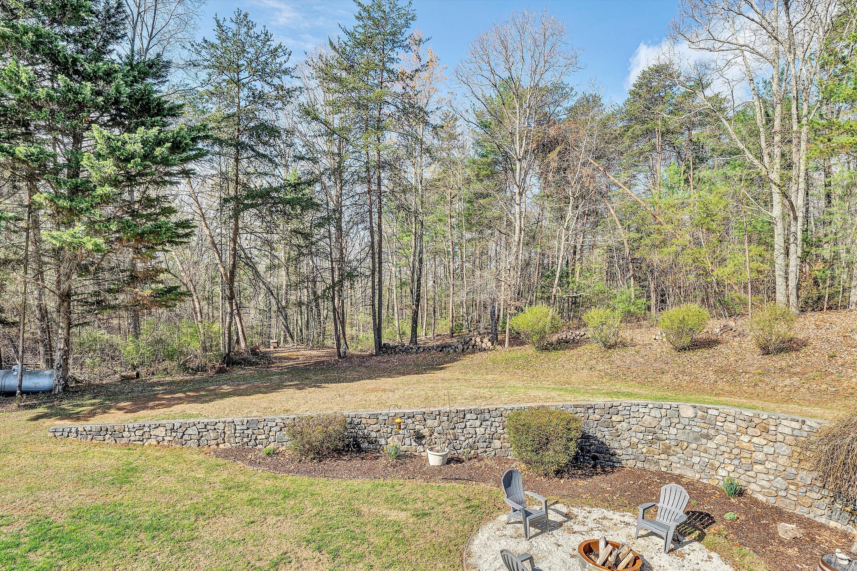 1488 Henry Road Ferrum, VA 24088 - Photo 46 of 55 Back Yard
