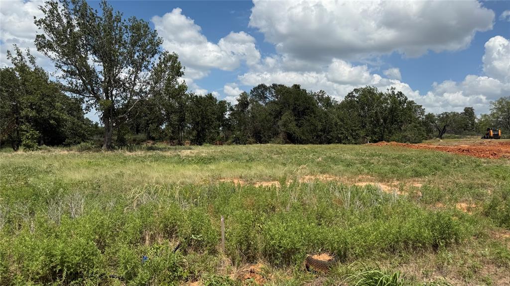 1175 Gonzollas Road Springtown, TX 76082 - Photo 3 of 4 Expansive land parcel featuring natural ground cover, mature trees along the perimeter, and clear skies overhead