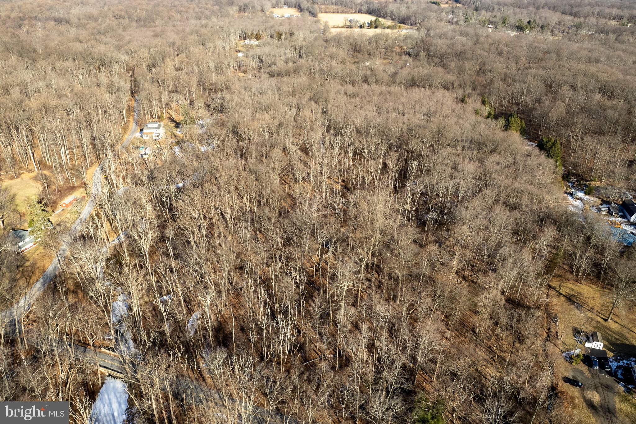 Lot 39 Stony Brook Road Hopewell, NJ 08525 - Photo 12 of 24 a view of a yard