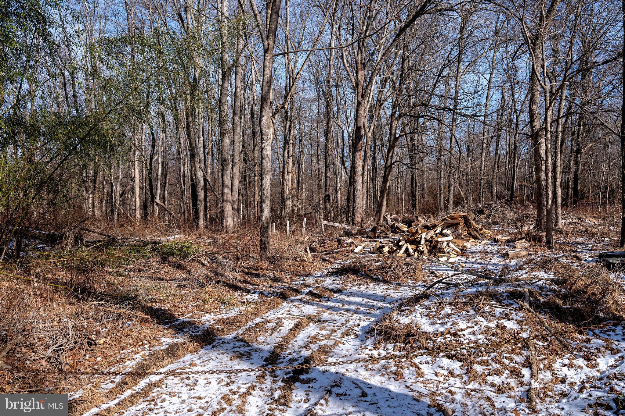 Lot 39 Stony Brook Road Hopewell, NJ 08525 - Photo 2 of 24 a view of a backyard of the house