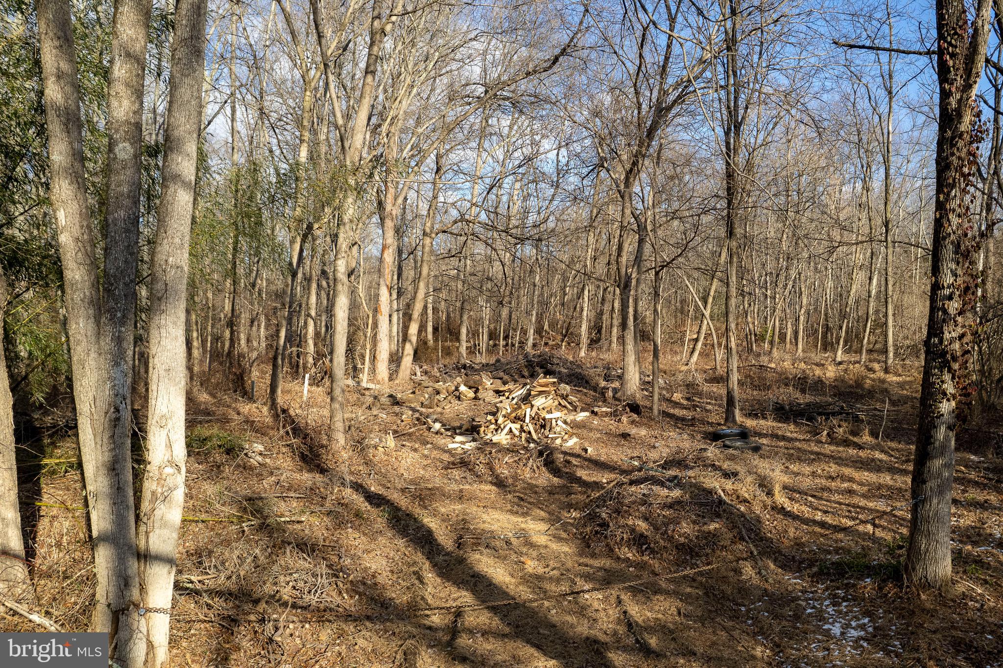 Lot 39 Stony Brook Road Hopewell, NJ 08525 - Photo 24 of 24 a view of covered with green space