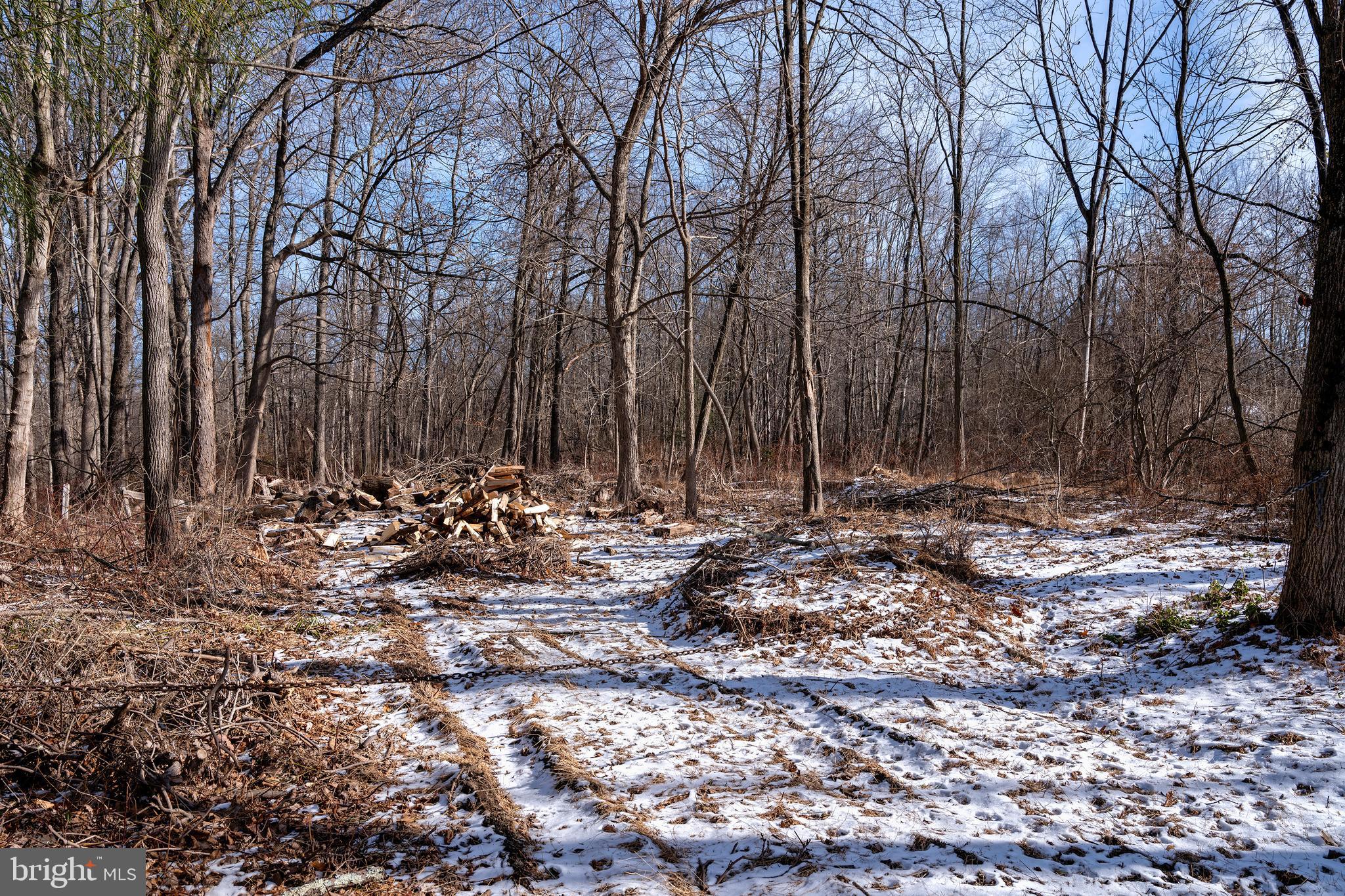 Lot 39 Stony Brook Road Hopewell, NJ 08525 - Photo 3 of 24 a view of outdoor space with lots of trees