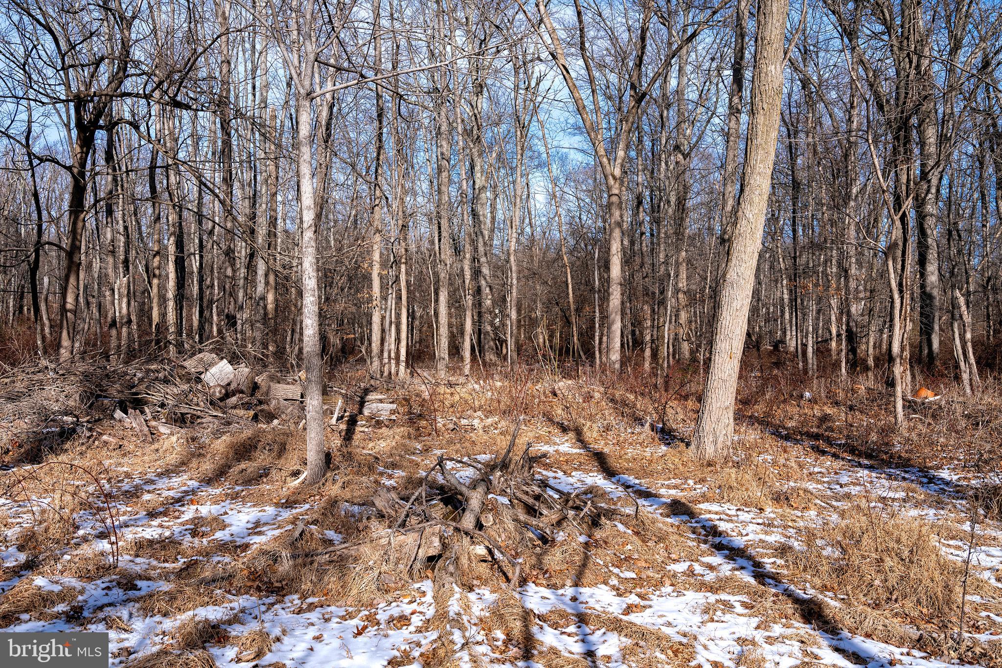 Lot 39 Stony Brook Road Hopewell, NJ 08525 - Photo 4 of 24 a view of wooden fence
