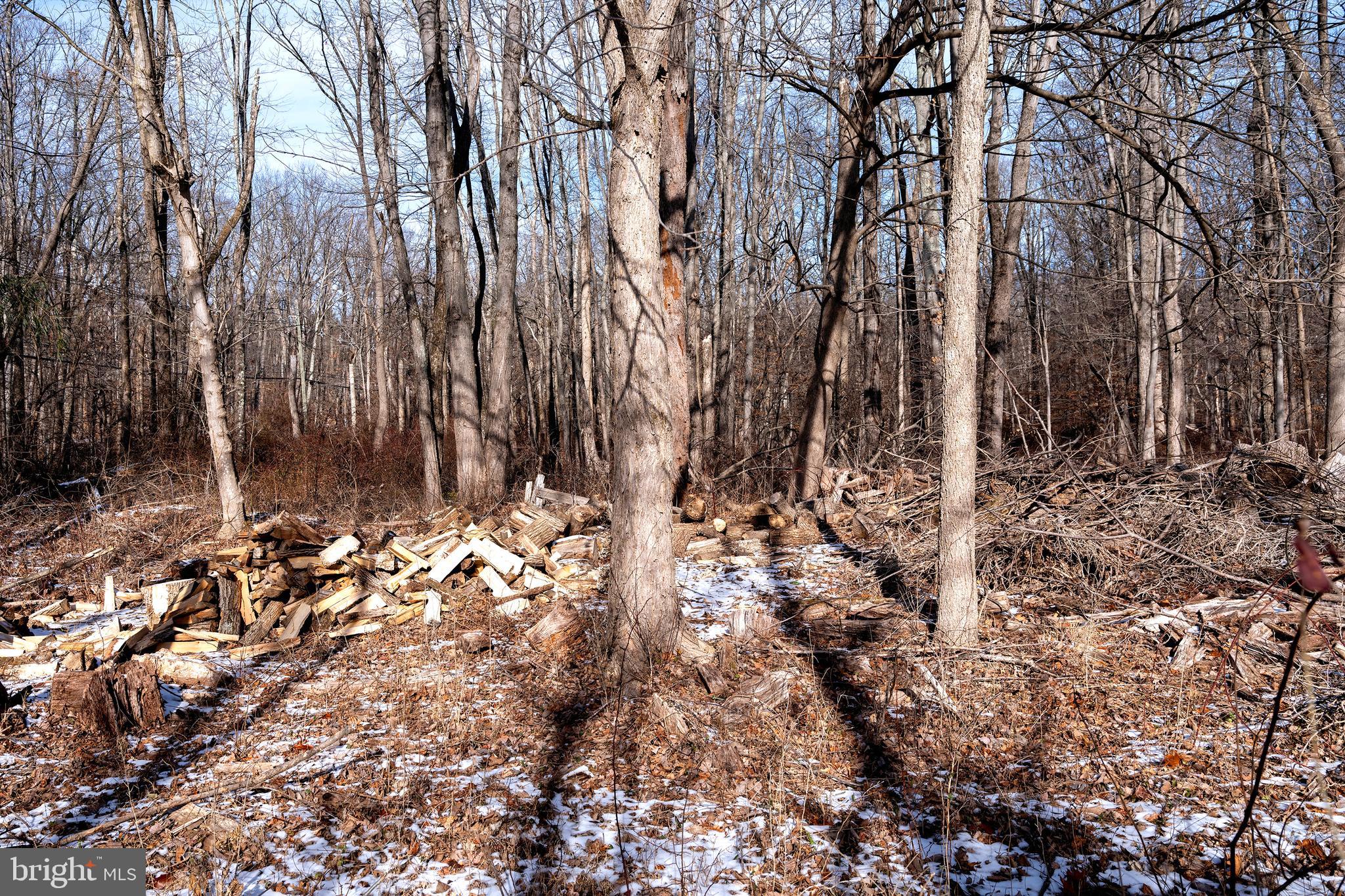 Lot 39 Stony Brook Road Hopewell, NJ 08525 - Photo 5 of 24 a backyard of a house with lots of green space
