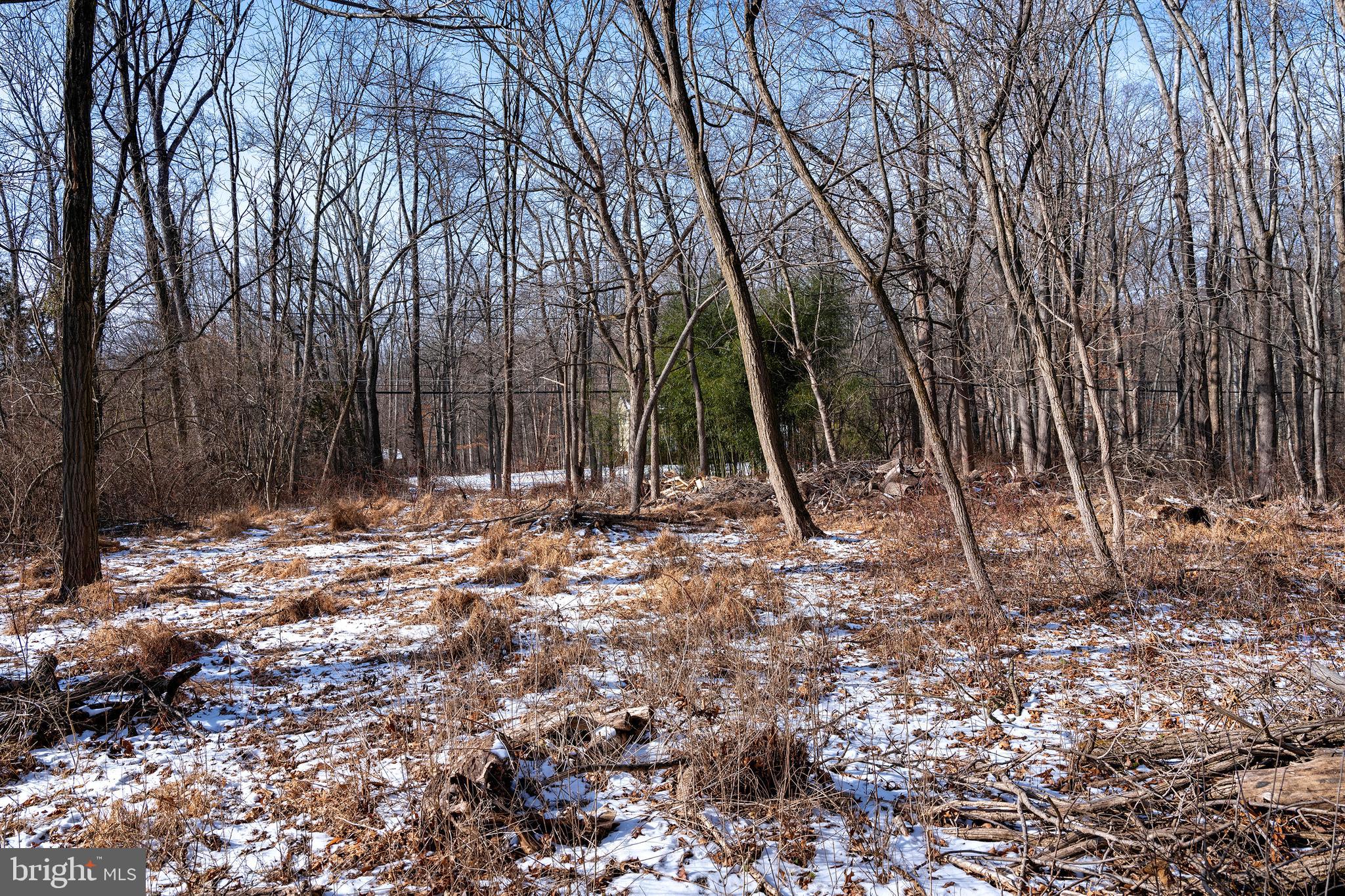 Lot 39 Stony Brook Road Hopewell, NJ 08525 - Photo 6 of 24 a view of outdoor space with trees
