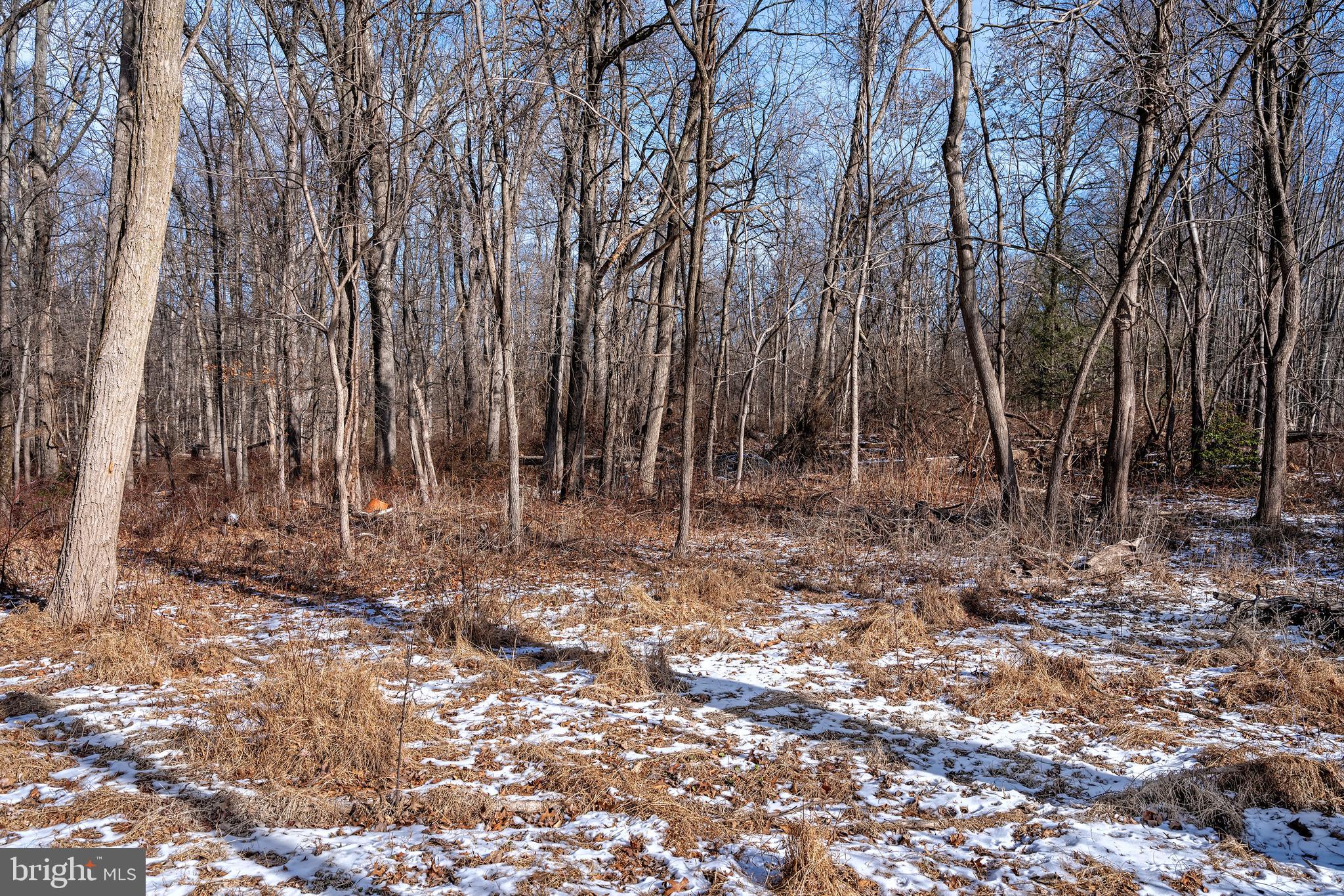 Lot 39 Stony Brook Road Hopewell, NJ 08525 - Photo 7 of 24 a view of outdoor space with trees