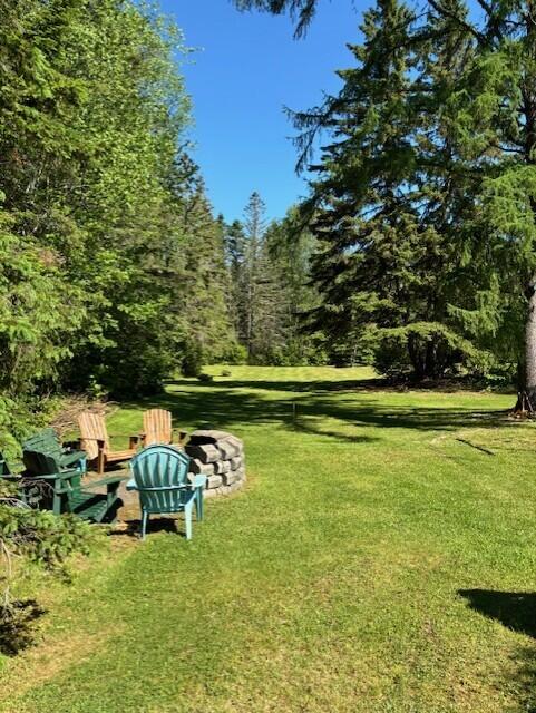 88 Madawaska Road Caribou, ME 04736 - Photo 87 of 92 back yard (1)