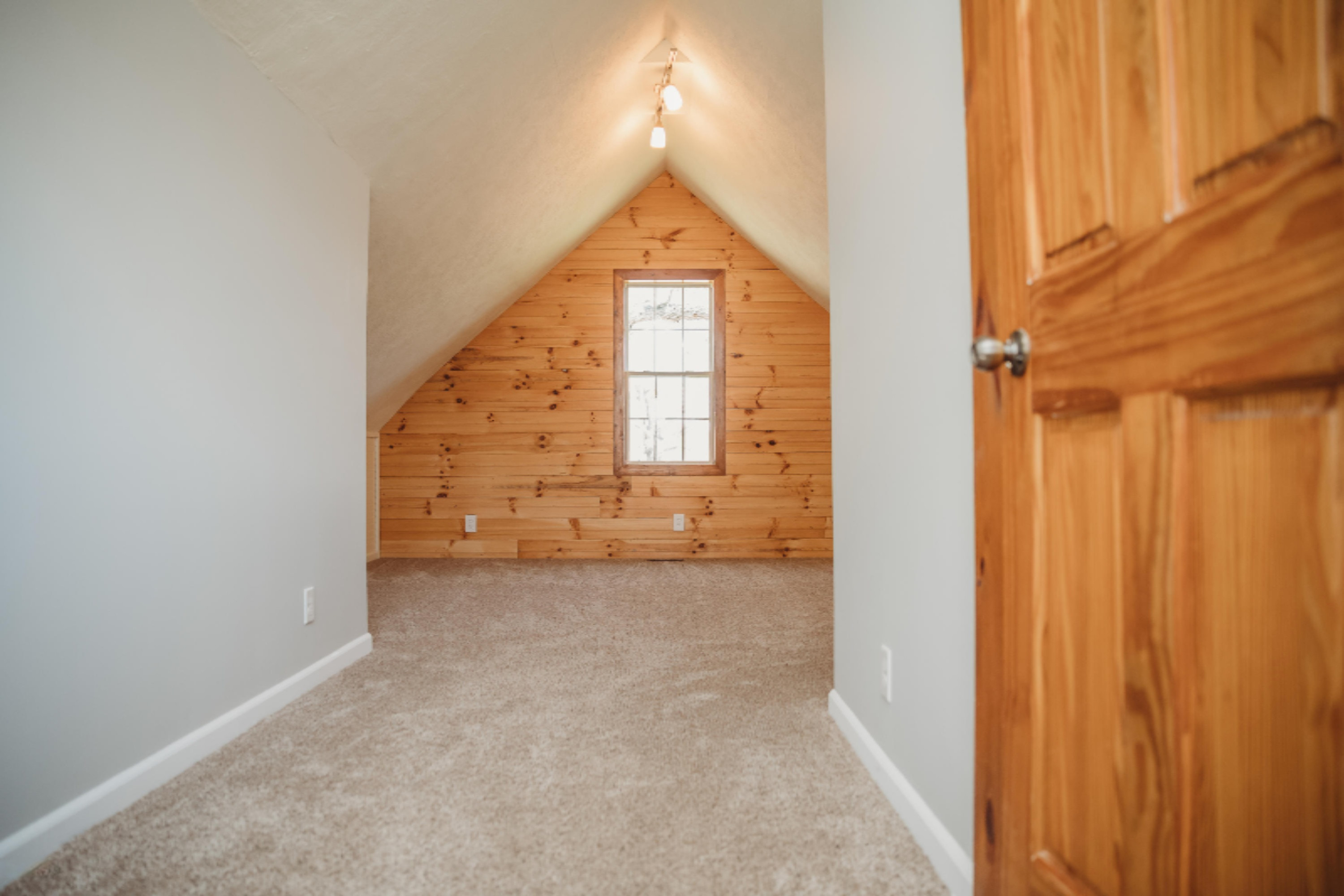 2370 Fitzner Road Greenville, MI 48838 - Photo 36 of 63 MP05072020-83