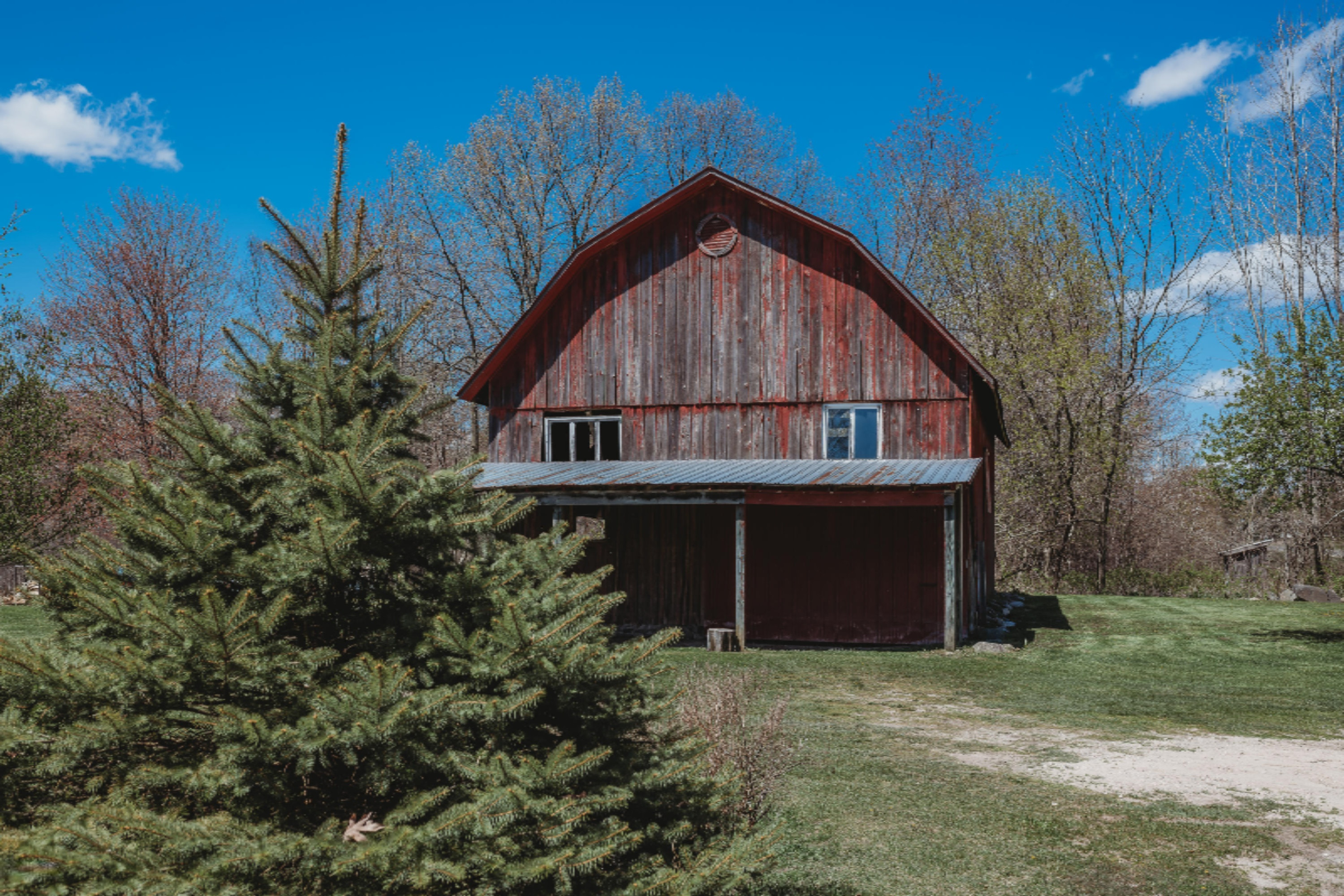2370 Fitzner Road Greenville, MI 48838 - Photo 44 of 63 MP05072020-20