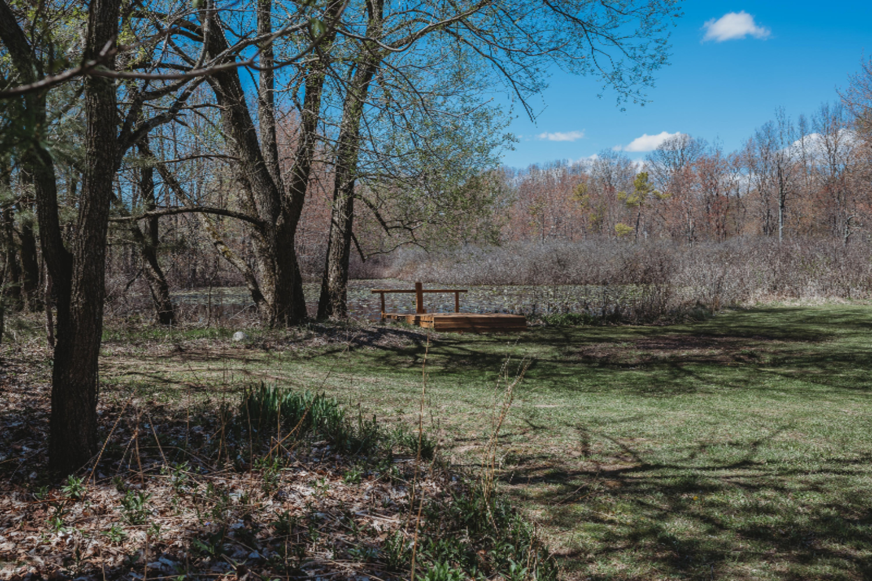 2370 Fitzner Road Greenville, MI 48838 - Photo 8 of 63 MP05072020-26