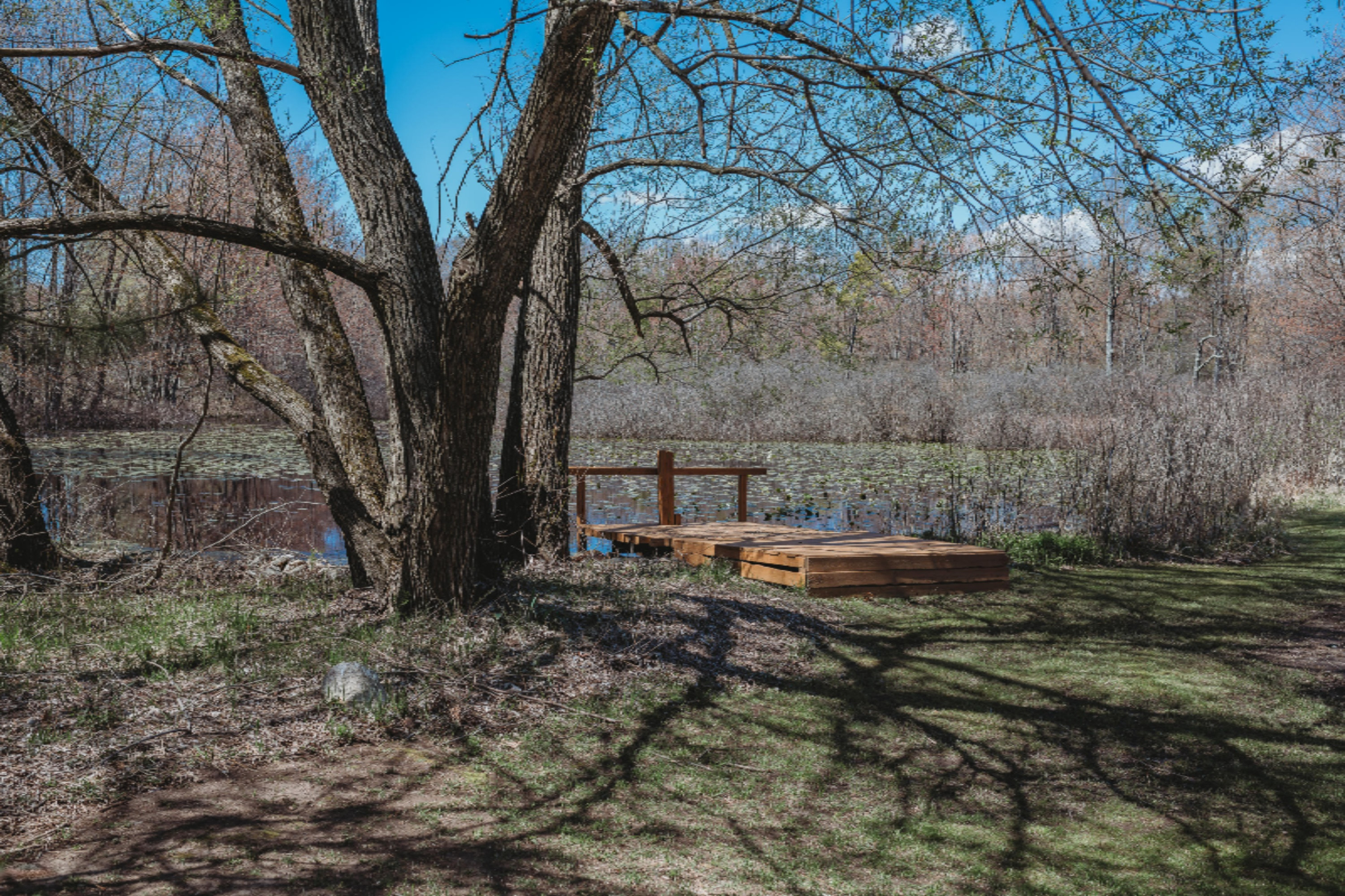 2370 Fitzner Road Greenville, MI 48838 - Photo 9 of 63 MP05072020-28