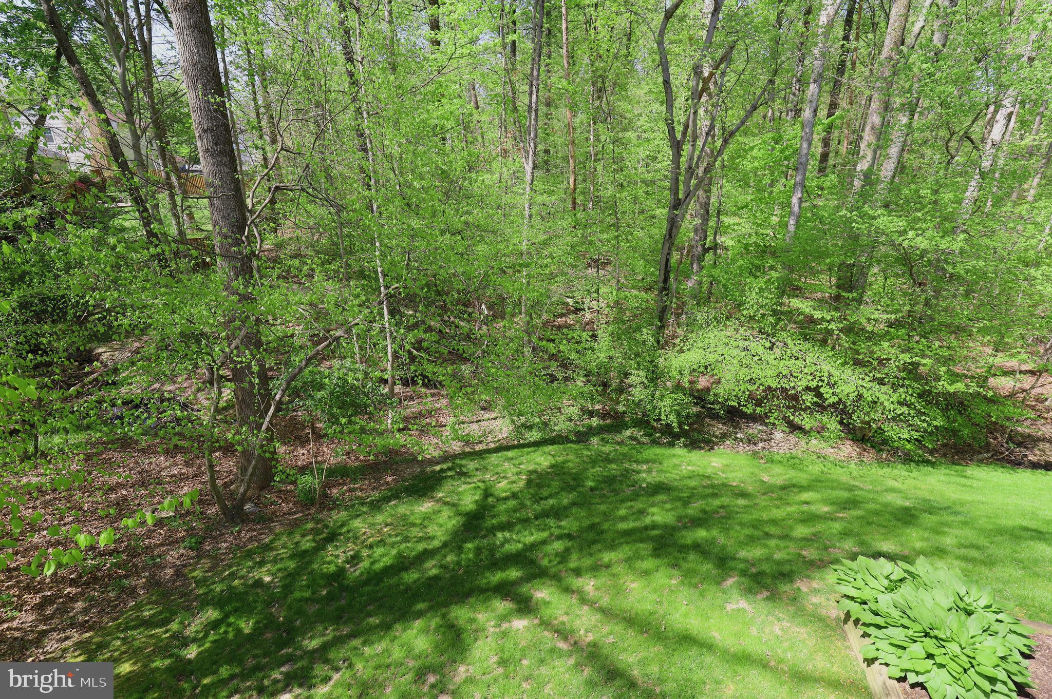 7616 Bertito Lane Springfield, VA 22153 - Photo 22 of 54 Private Wooded View from Deck
