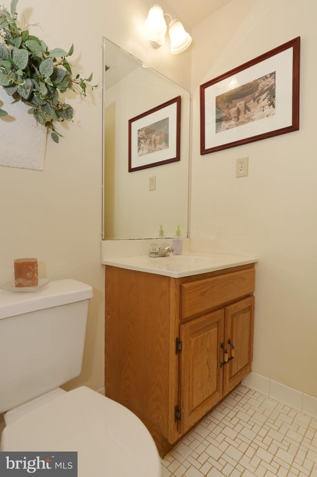 7616 Bertito Lane Springfield, VA 22153 - Photo 48 of 54 3rd Full Bath (on Lower Level)