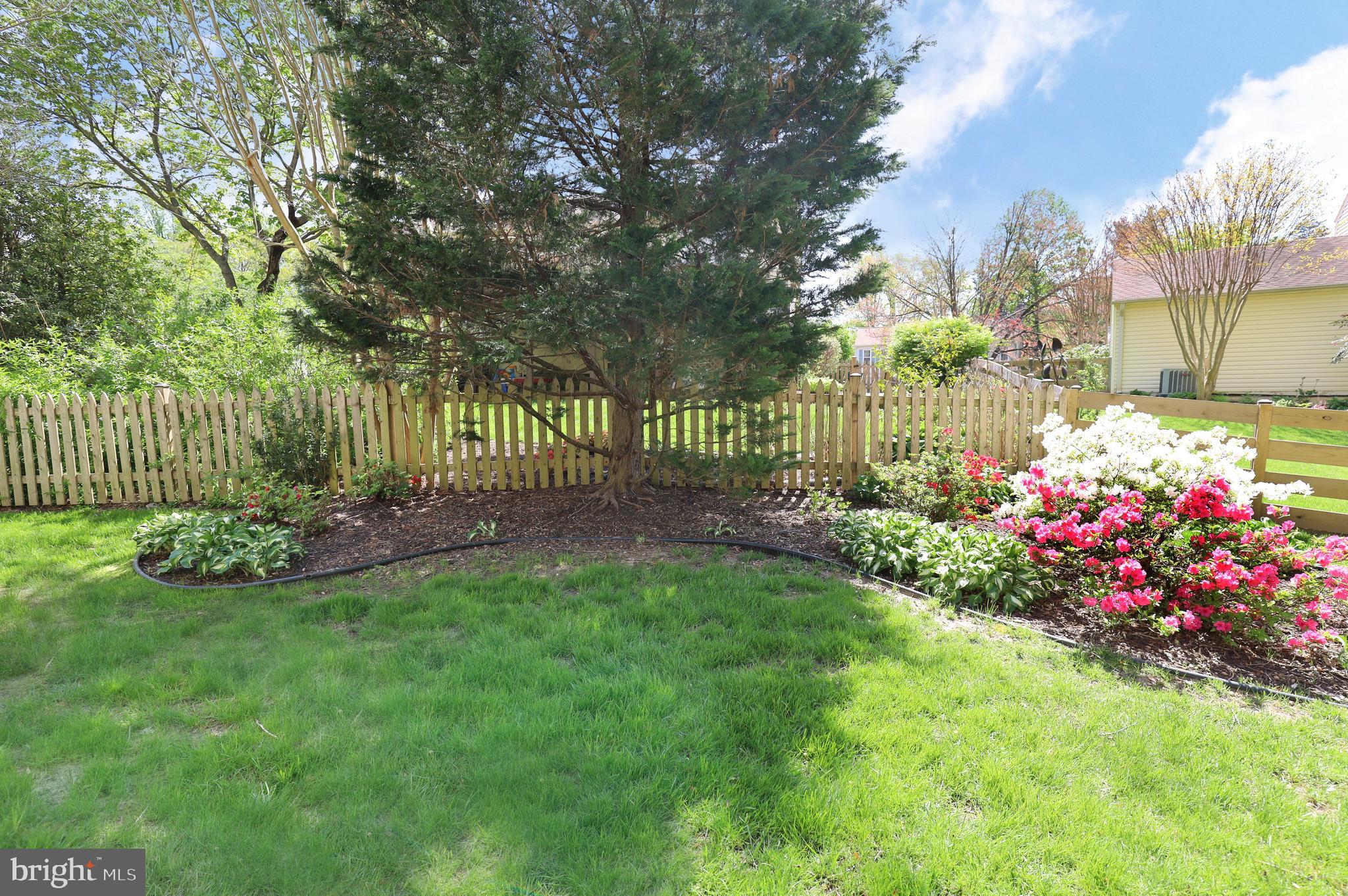 7616 Bertito Lane Springfield, VA 22153 - Photo 51 of 54 Backyard Landscaping with Flowering Shrubs