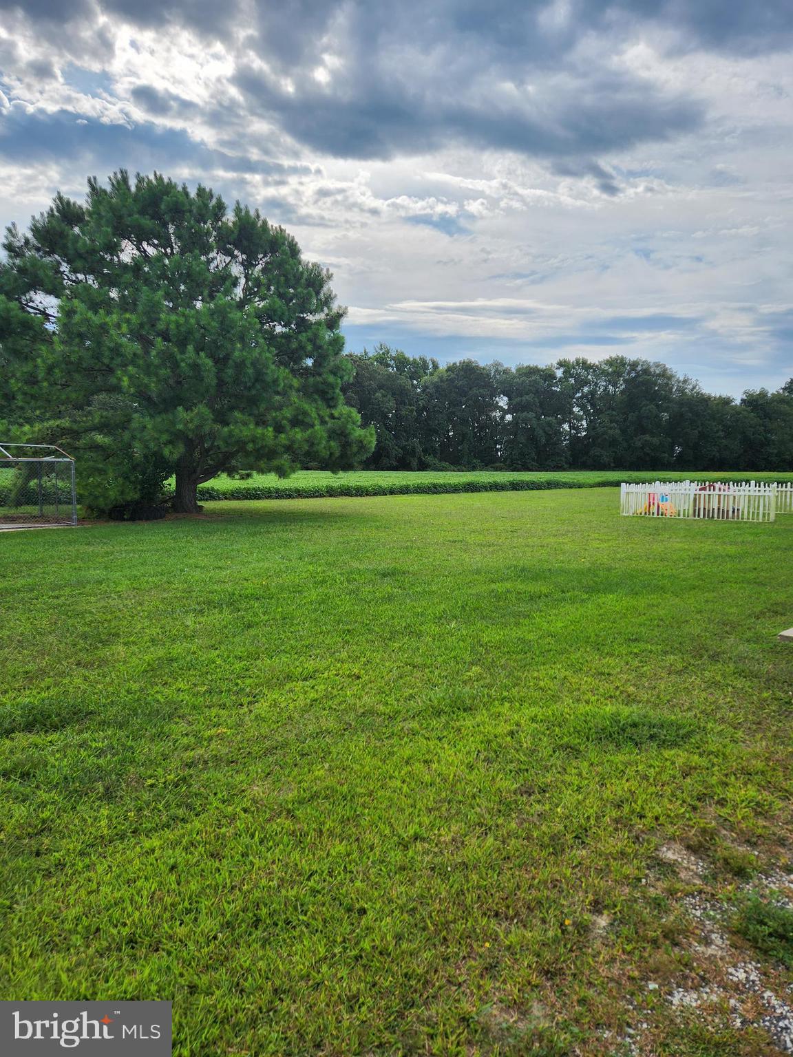 5543 Indiantown Road Rhodesdale, MD 21659 - Photo 17 of 24 Back side yard