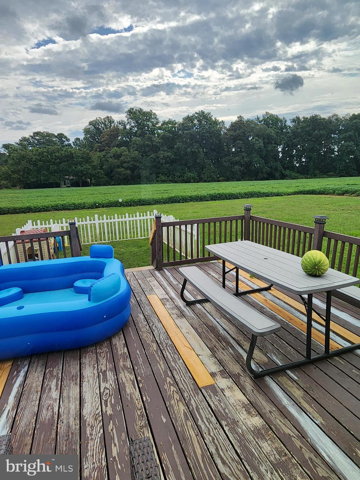 5543 Indiantown Road Rhodesdale, MD 21659 - Photo 18 of 24 Deck view