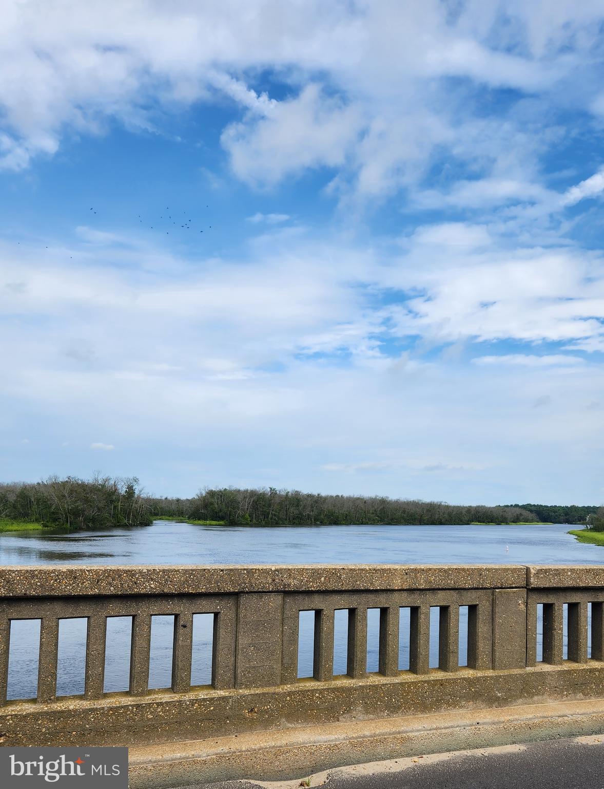 5543 Indiantown Road Rhodesdale, MD 21659 - Photo 24 of 24 River view from Indiantown Bridge