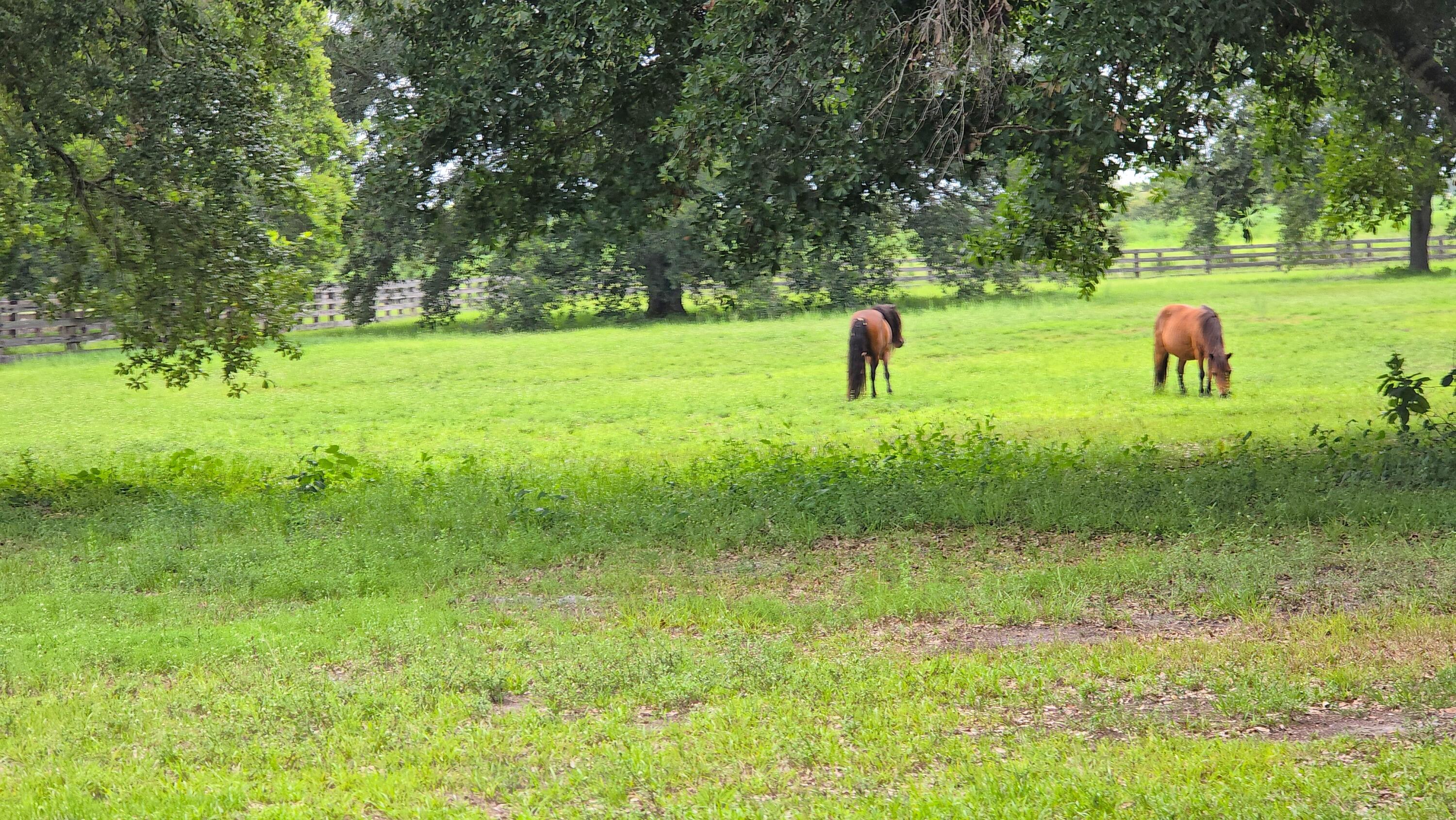 4567 Highway 710 Okeechobee, FL 34974 - Photo 2 of 51 Calming