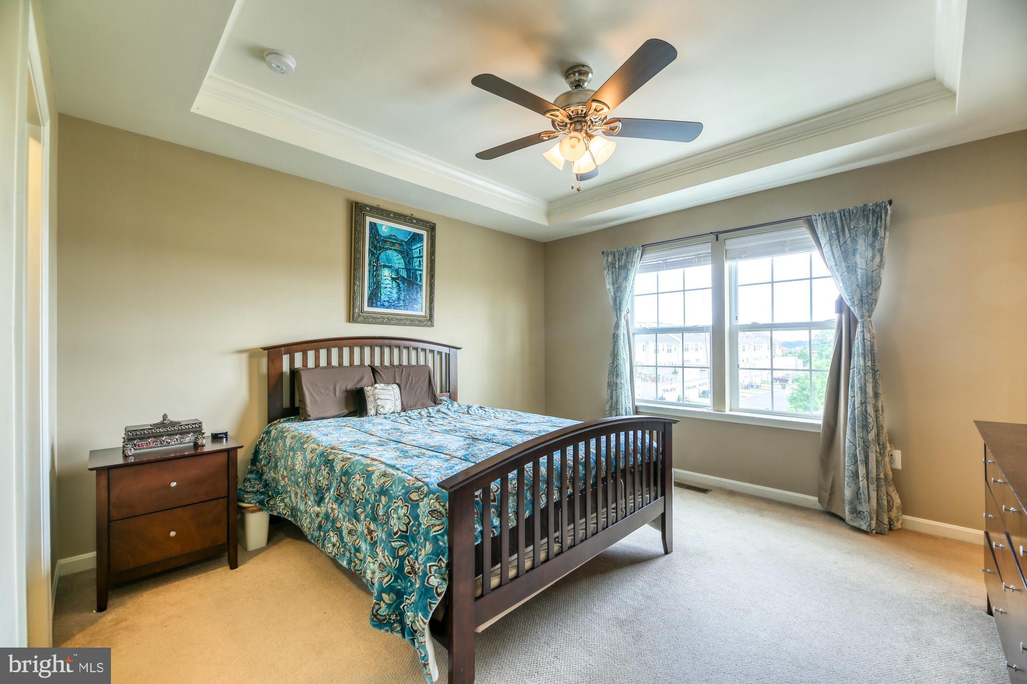44094 Turf Field Square Chantilly, VA 20152 - Photo 12 of 44 Master bedroom with tray ceilings