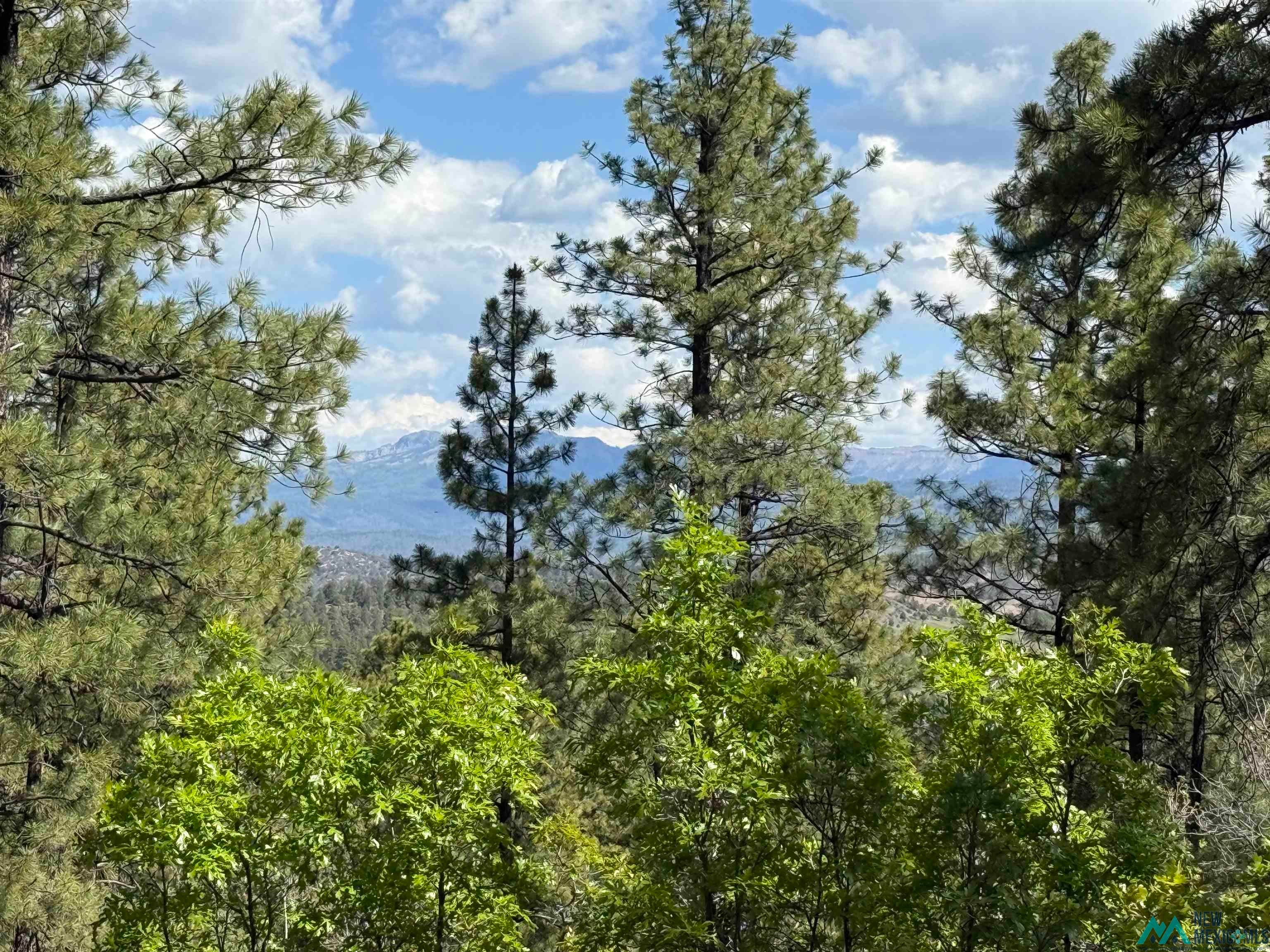 Tbd Buckman Road Chama, NM 87520 - Photo 4 of 11 Gallery Image 4