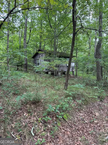 a view of a green field with lots of bushes