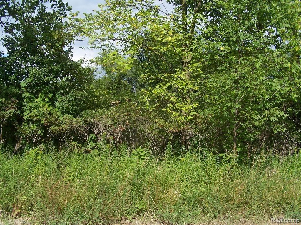 0 Tipsico Lake Road Clarkston, MI 48348 - Photo 3 of 4