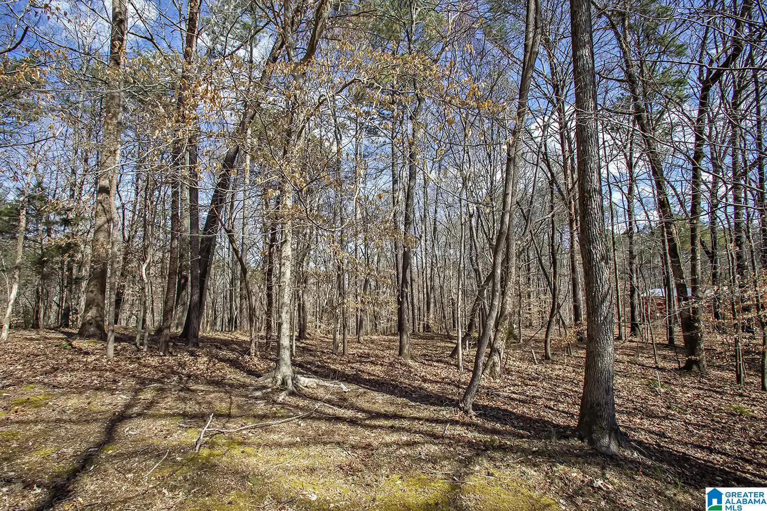 6911 Deer Haven Road Pinson, AL 35126 - Photo 45 of 52