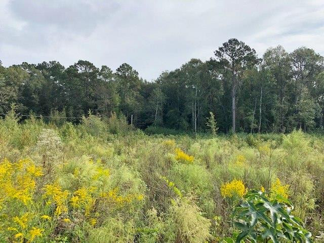 0 Garner Road Summit, MS 39666 - Photo 1 of 7 Main View
